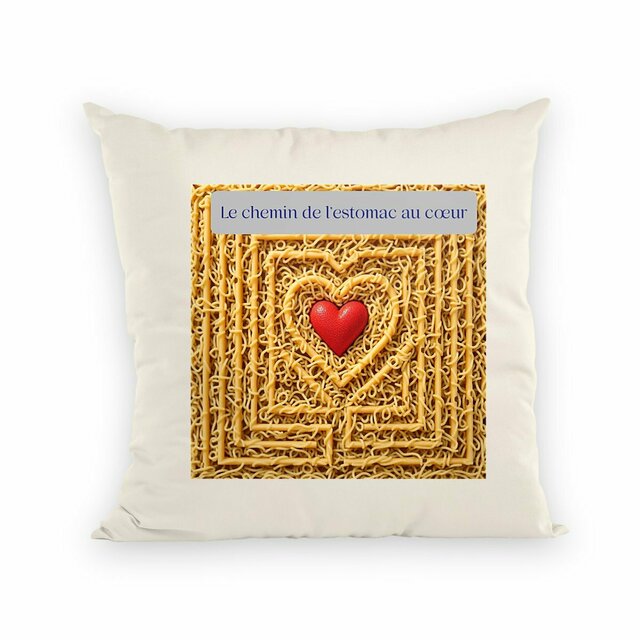 Image front coussin le chemin de l'estomac au coeur