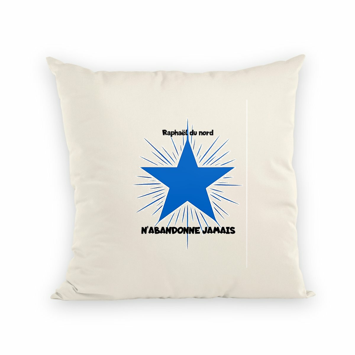 Image front coussin n'abandonne jamais -raphael du nord
