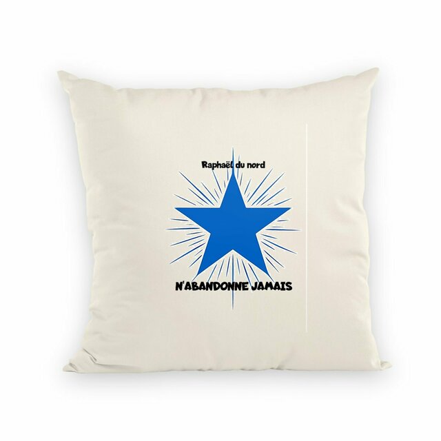 Image front coussin n'abandonne jamais -raphael du nord