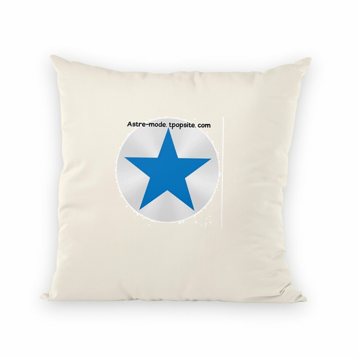 Image back coussin prendre initiative -raphael du nord