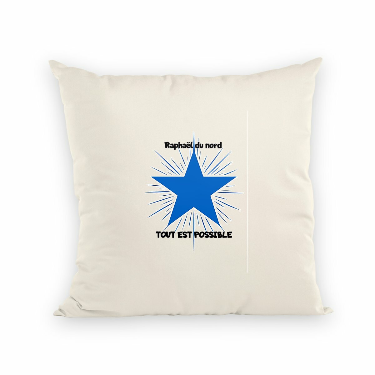 Image front coussin tout est possible -raphael du nord