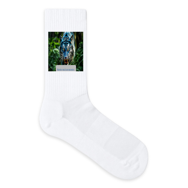 Image front chaussettes montre moi ton monstre