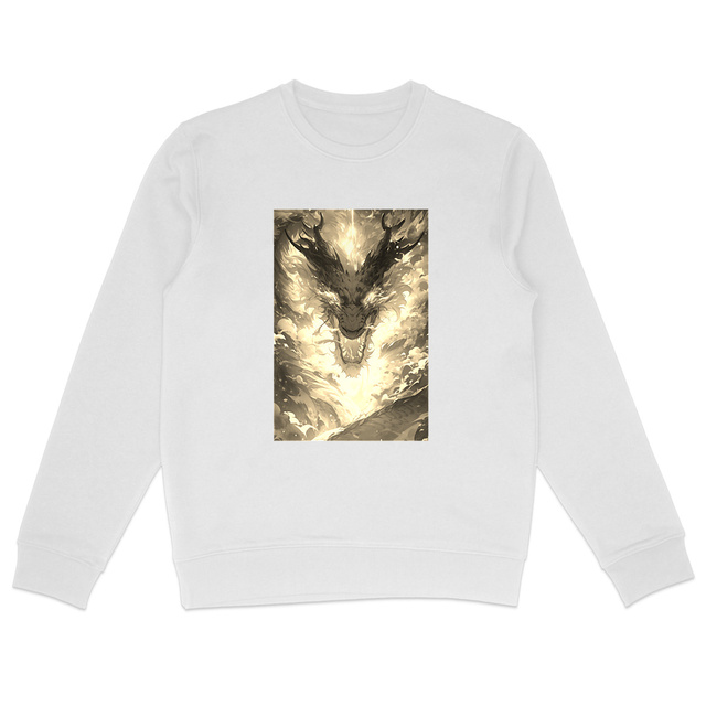 Image front Pull dragon japonais Zelos
