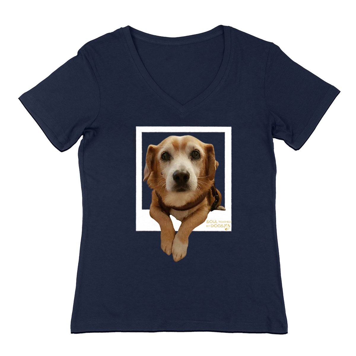 Image back T-shit V-neck Leo Polaroid