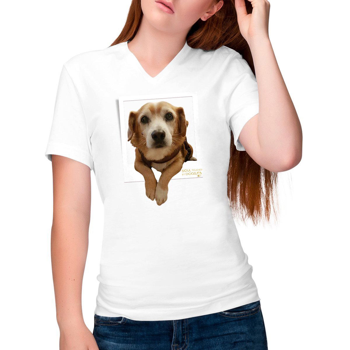 Image front T-shit V-neck Leo Polaroid