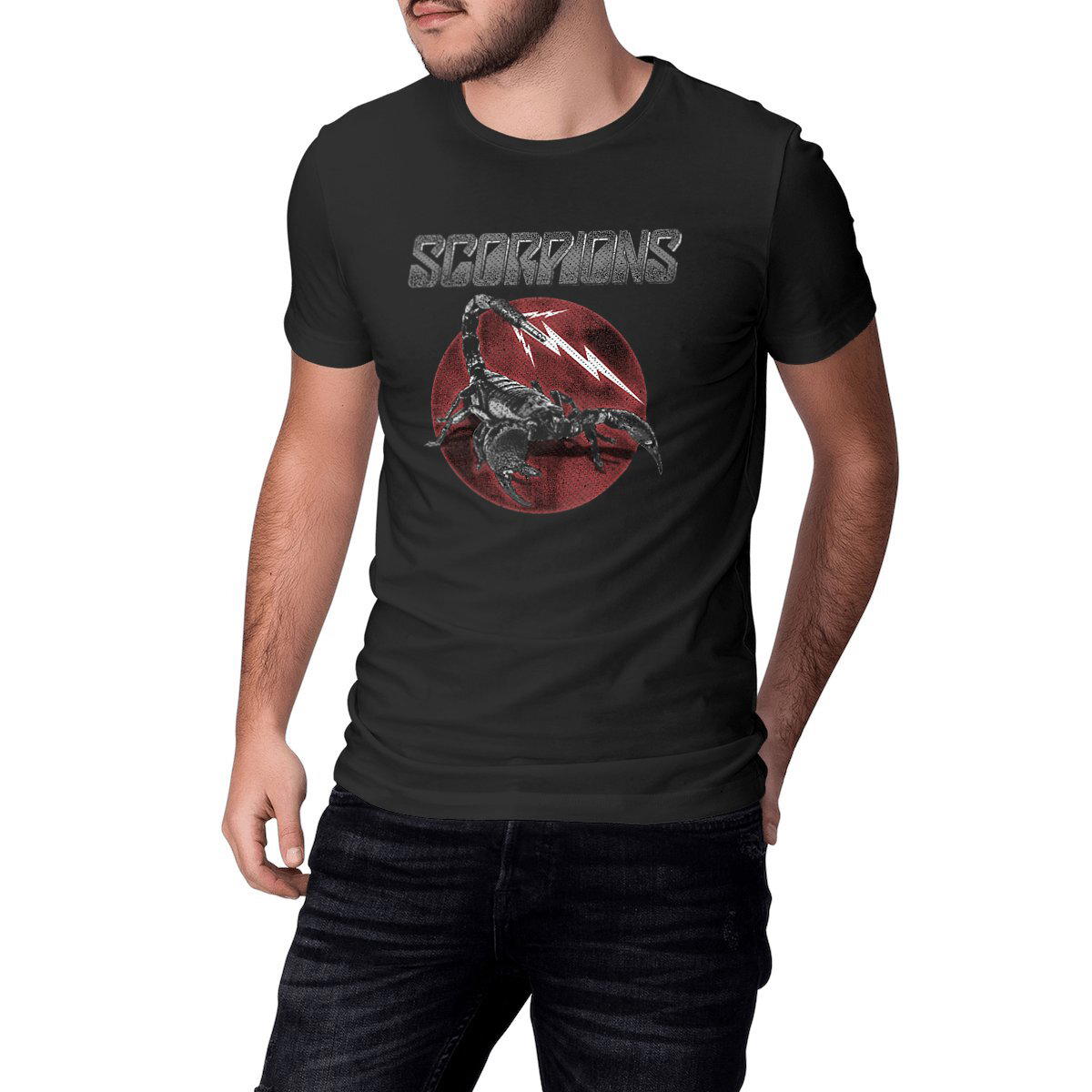 Image front SCORPIONS (42)