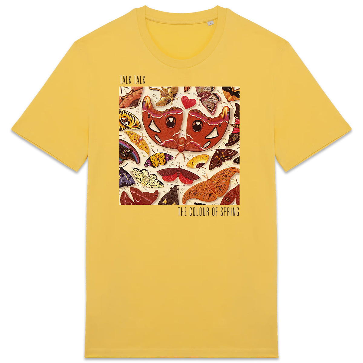 Image front Enfin le voilà ! "The Colour Of Spring" !