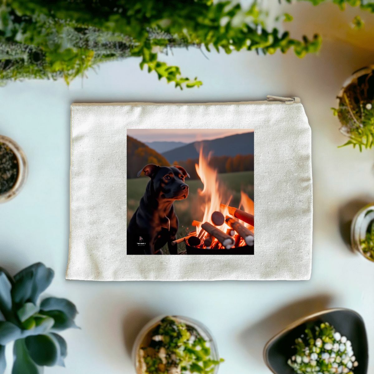 Image front Pochette - Staffie 7