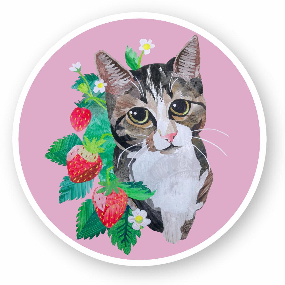 Image front Strawberry cat