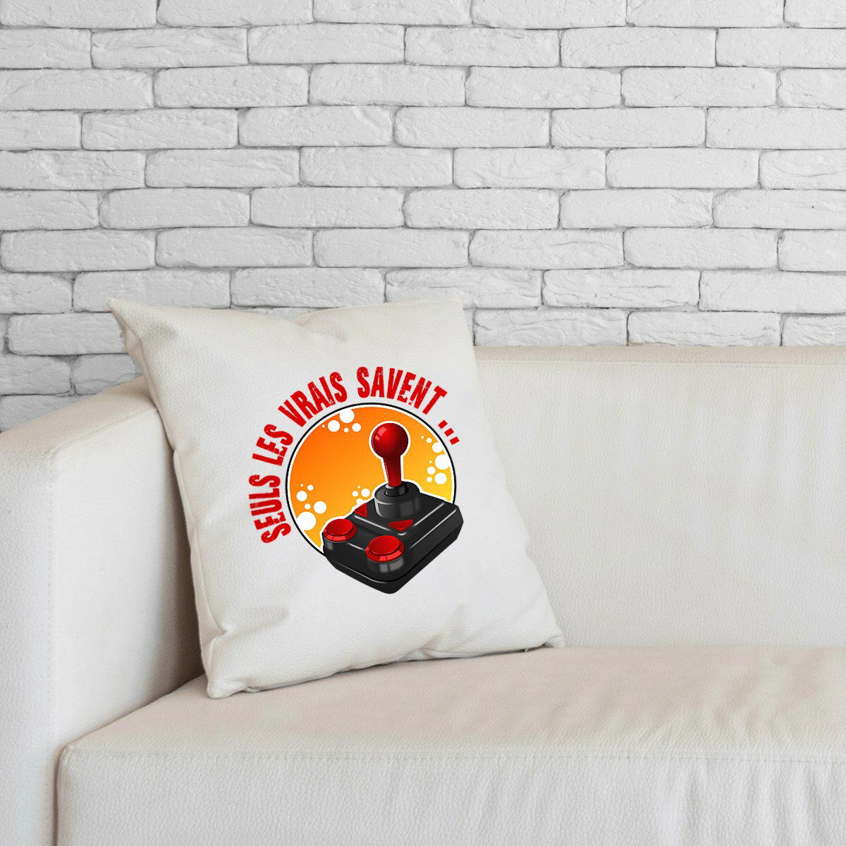 Image front Coussin SLVS1