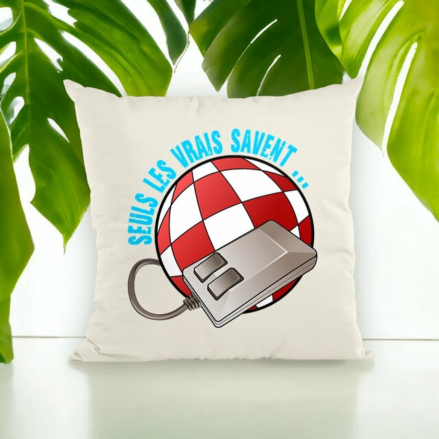 Image front Coussin SLVS2