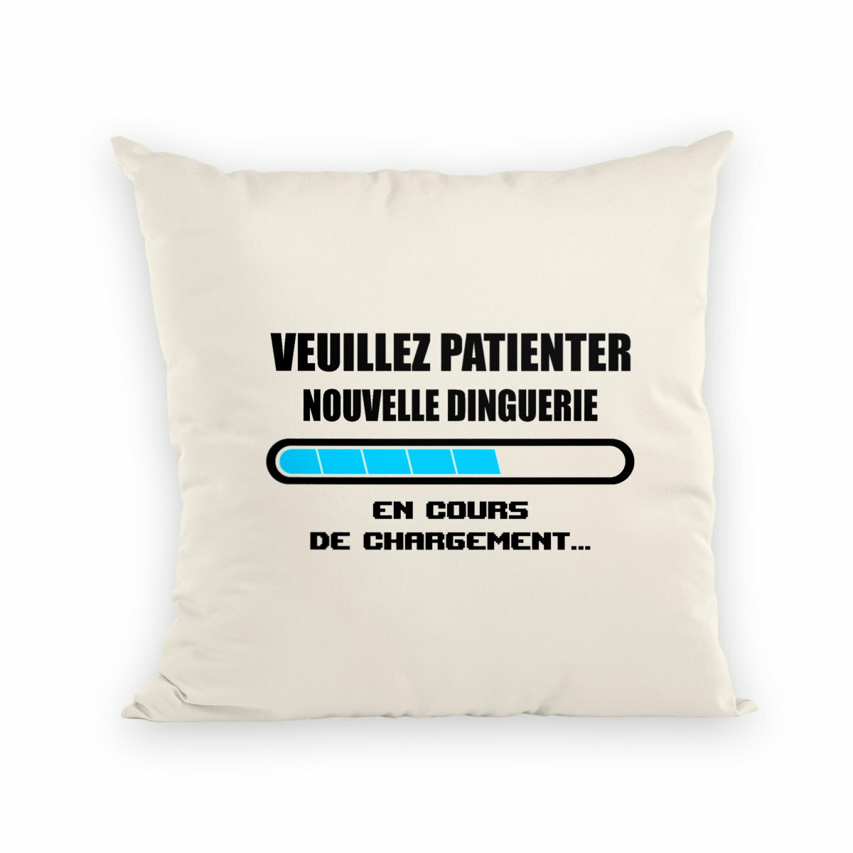 Image back Coussin VPND