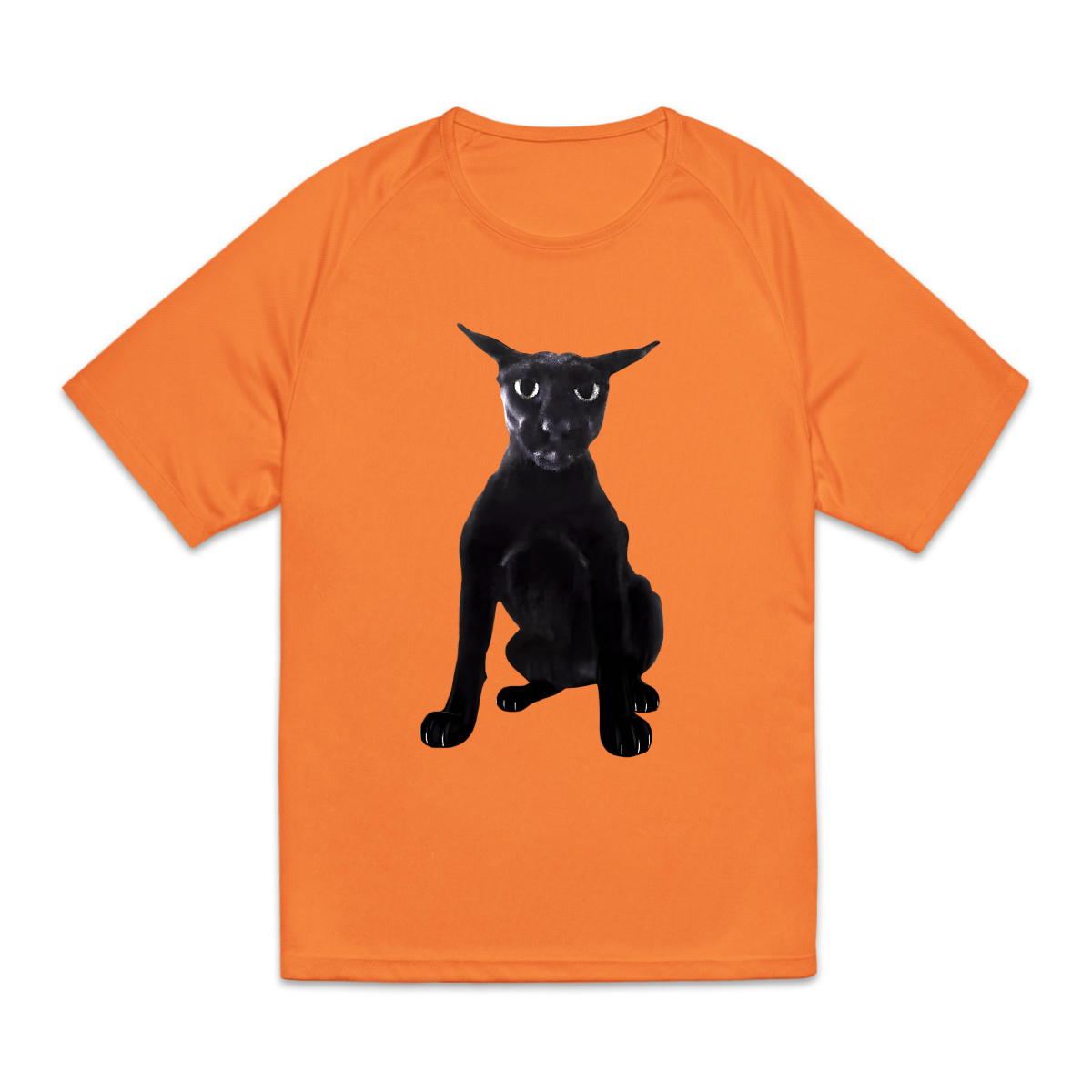 T-Shirt Larry Le Malicieux - Original - Image