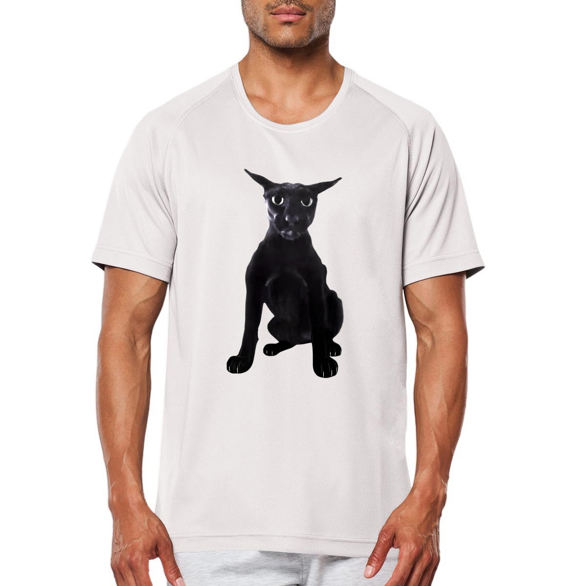 T-Shirt Larry Le Malicieux - Original