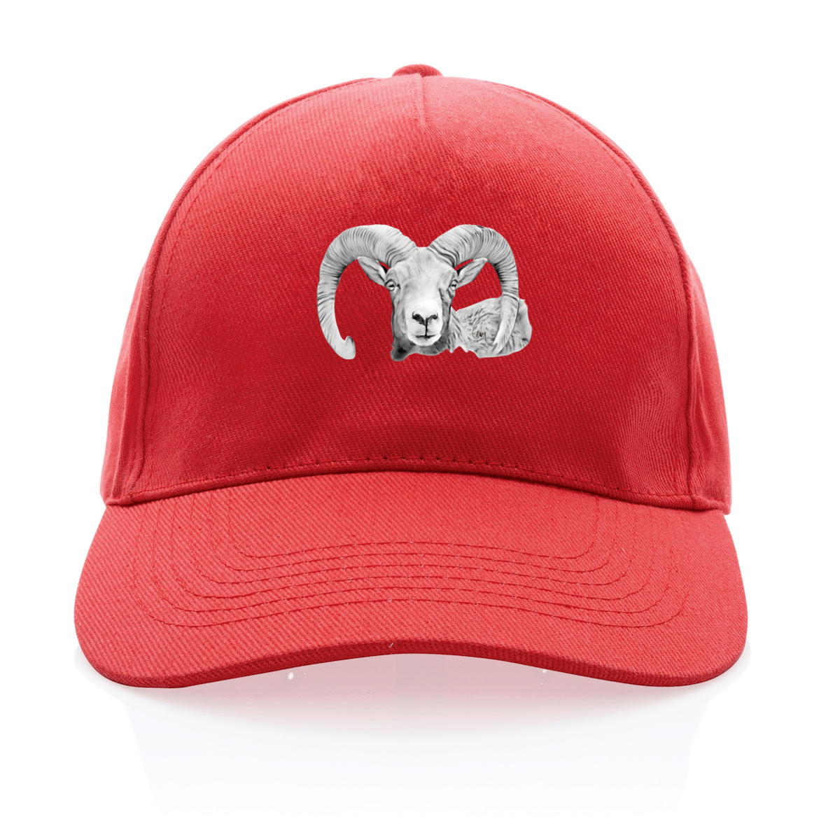Casquette 100% recyclée - MOUFLON CORSE