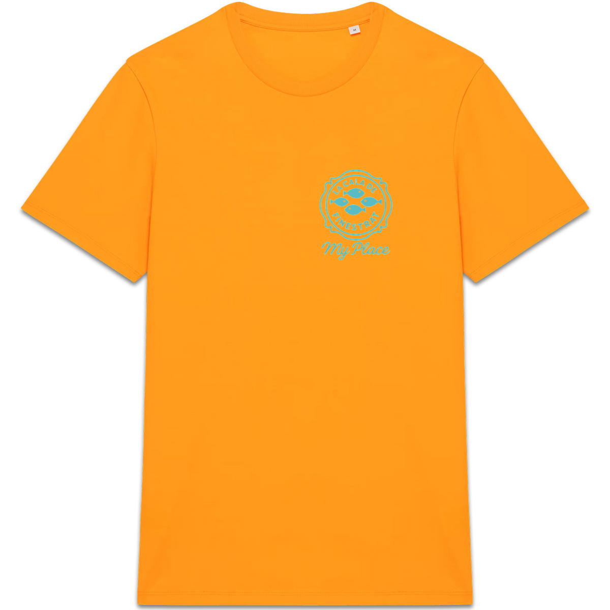 front_6