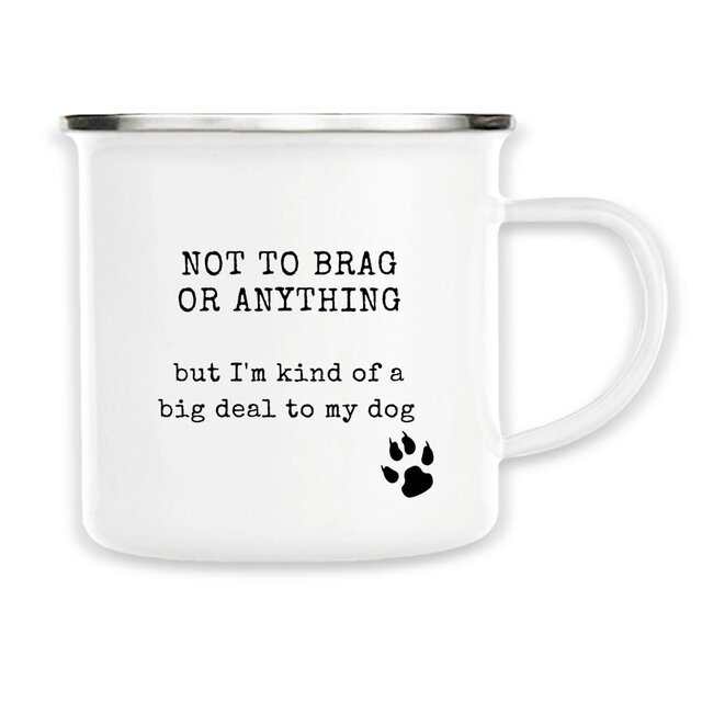 Image front NOT TO BRAG Vintage style enamel mug