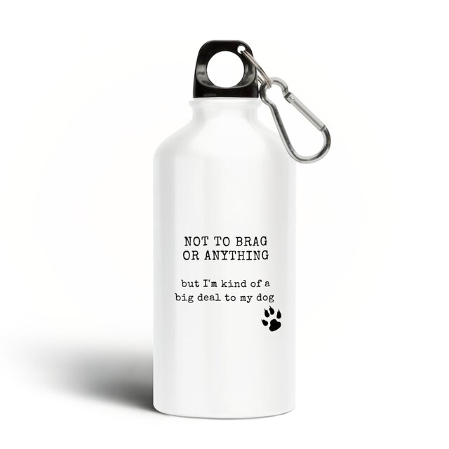Image front NOT TO BRAG Aluminium water bottle