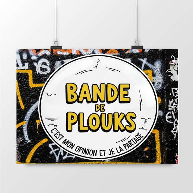 poster BANDE DE PLOUKS