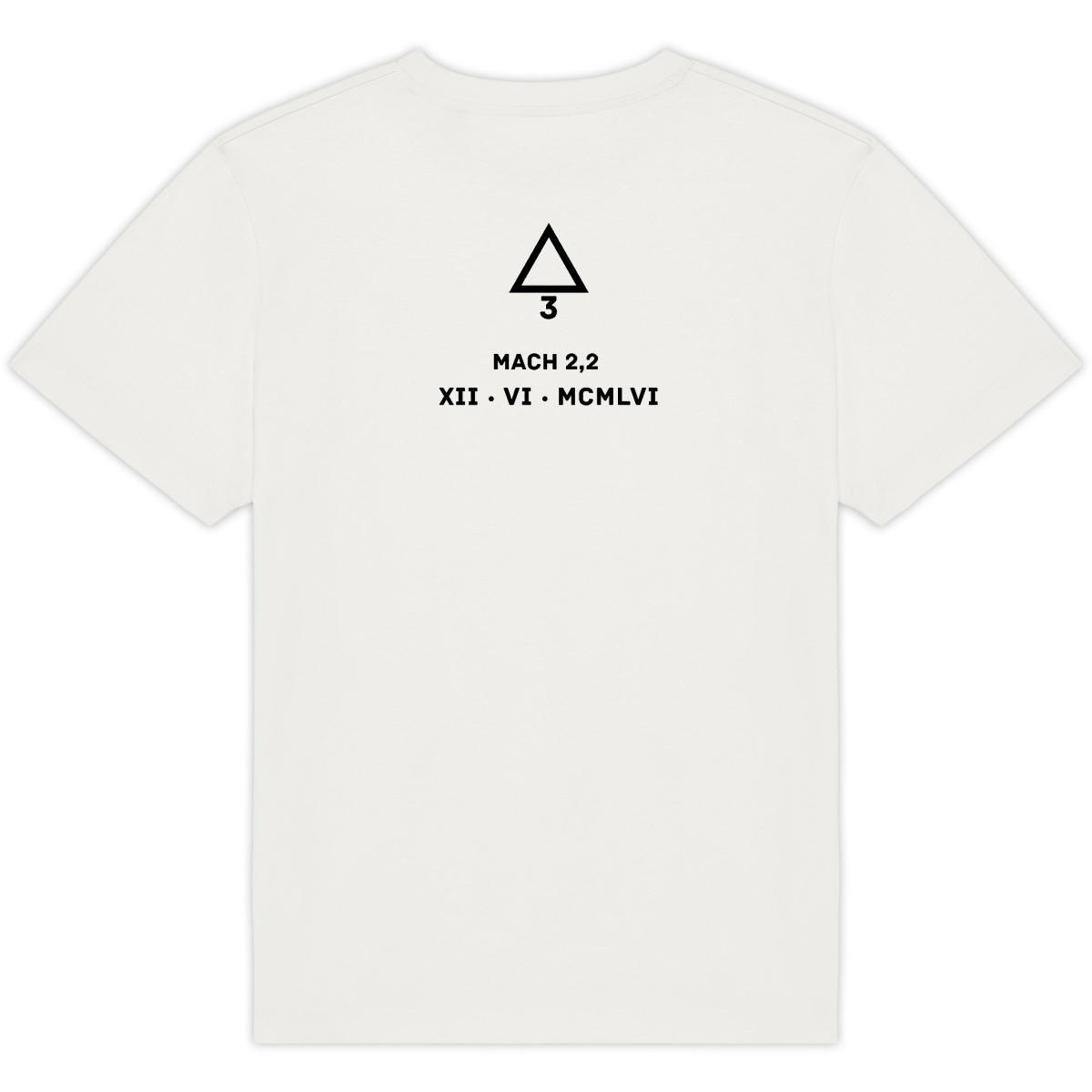 Image back T-shirt Unisexe Oversized Aethos x Éther - Chasseur français delta