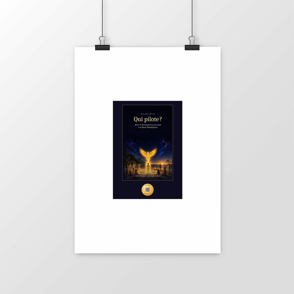 Poster Qui pilote ? L'intégrale du podcast