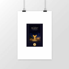 Poster Qui pilote ?