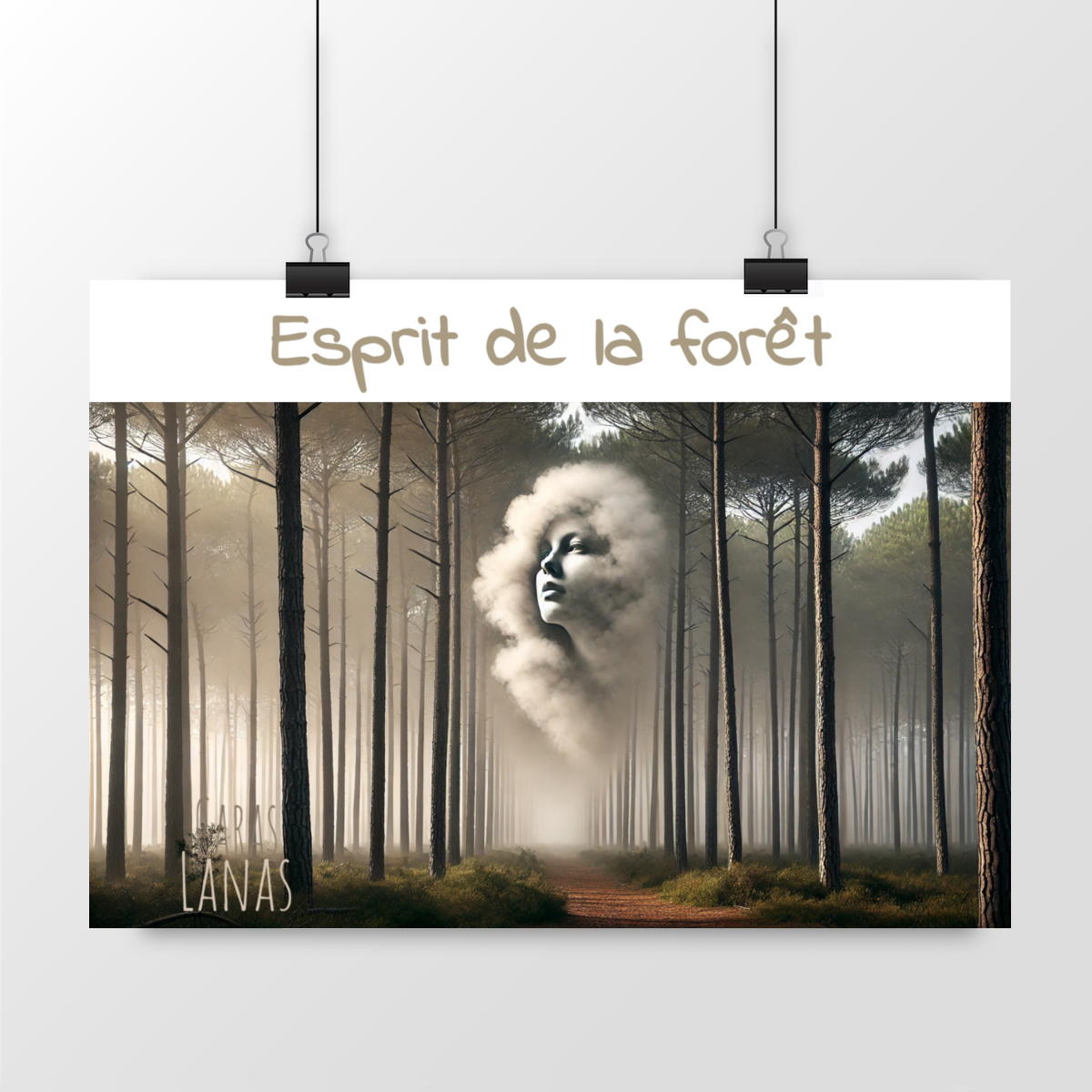 Image front Esprit de la forêt (Bruma) - Poster