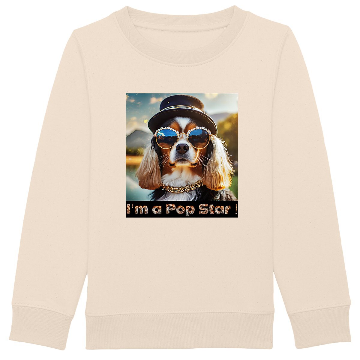 Image front Sweat Shirt Enfant I'm a Pop Star !