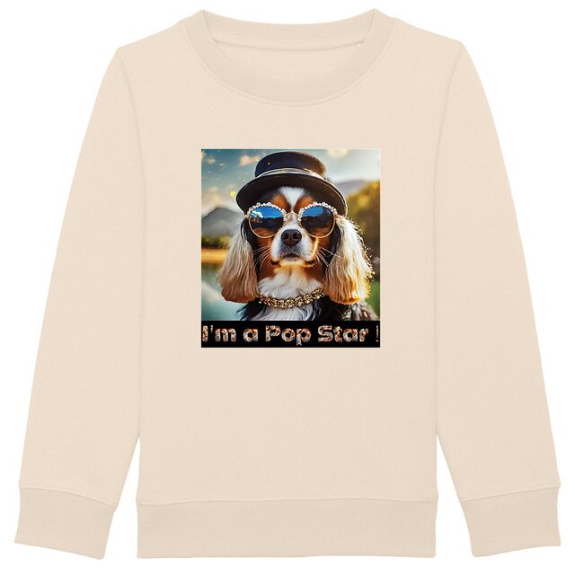 Image front Sweat Shirt Enfant I'm a Pop Star !