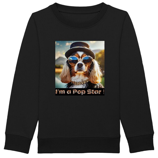 Image back Sweat Shirt Enfant I'm a Pop Star !