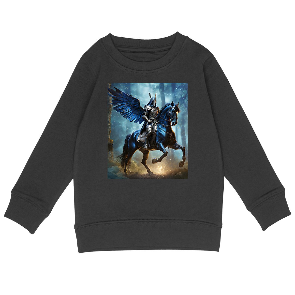 Image back Sweat Shirt Enfant Black Knight