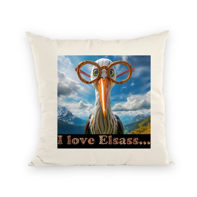 Image front Coussin Cigogne