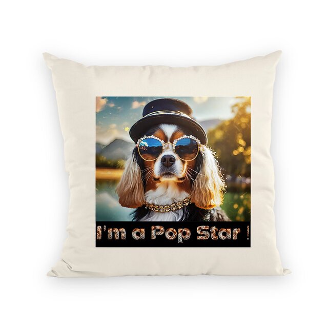 Image front Coussin I'm a Pop Star