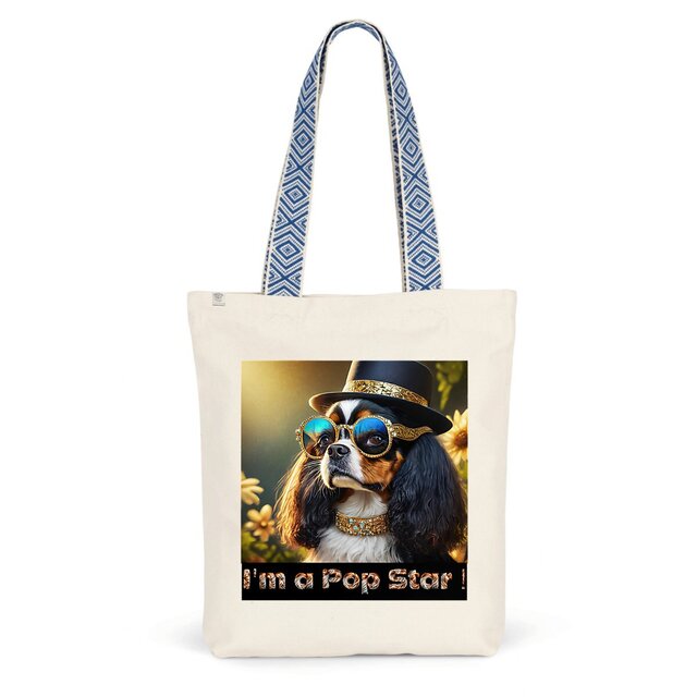 Image front ToteBag Ethnique I'm a pop Star !