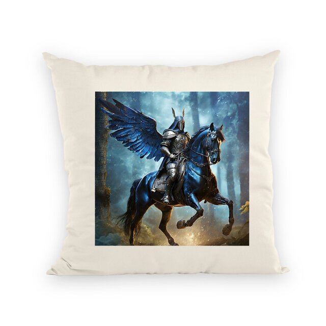 Image front Coussin Black Knight