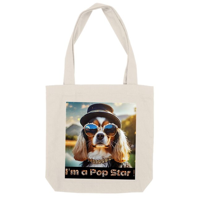 Image front ToteBag I'm a pop Star !
