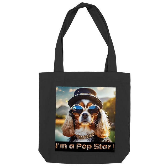 Image back ToteBag I'm a pop Star !
