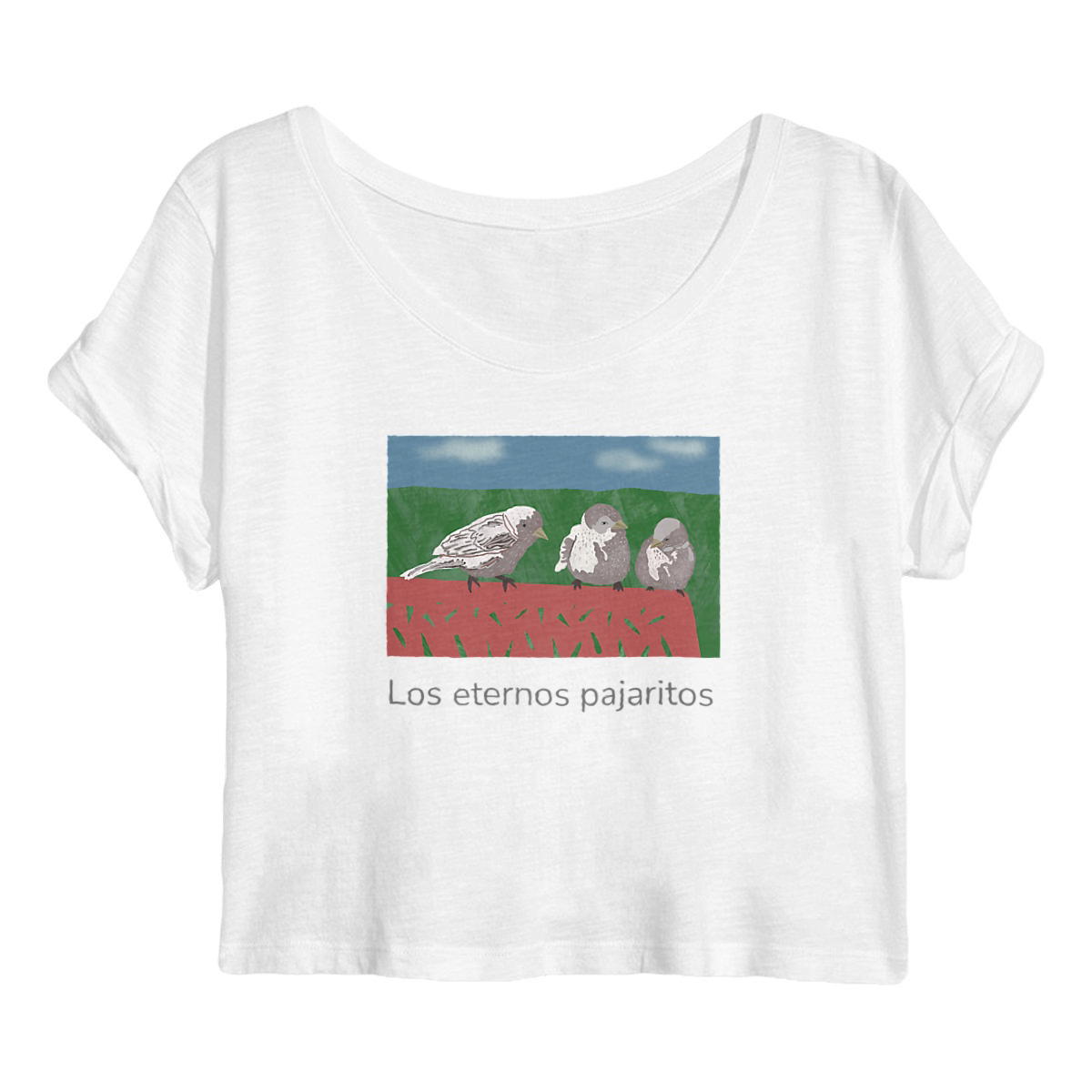 Pajaritos  - Image