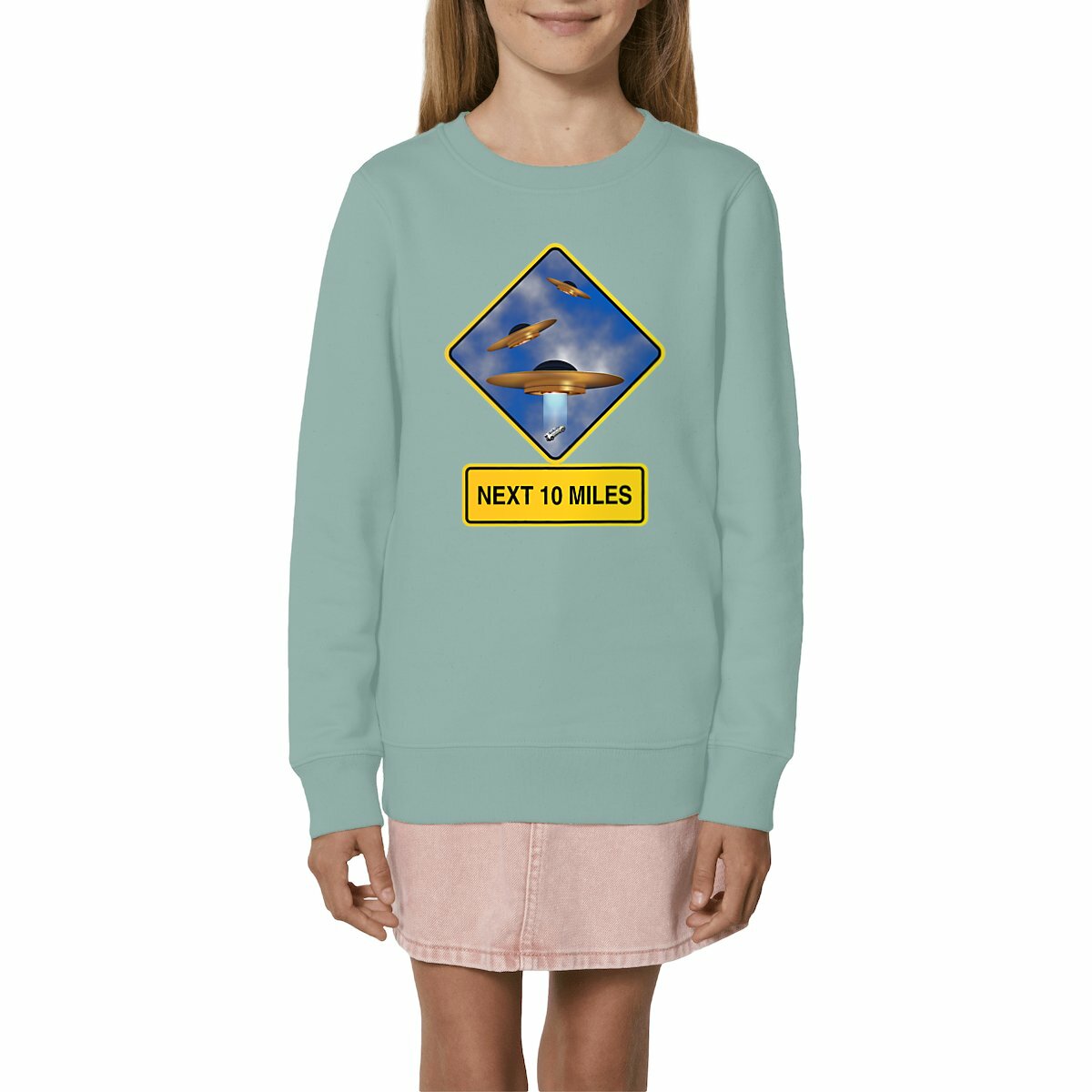 Image front ❀ Sweat-Shirt Standard Unisexe Enfant ~Premium ✦ UFO ALERT [🌐 EN] ✨
