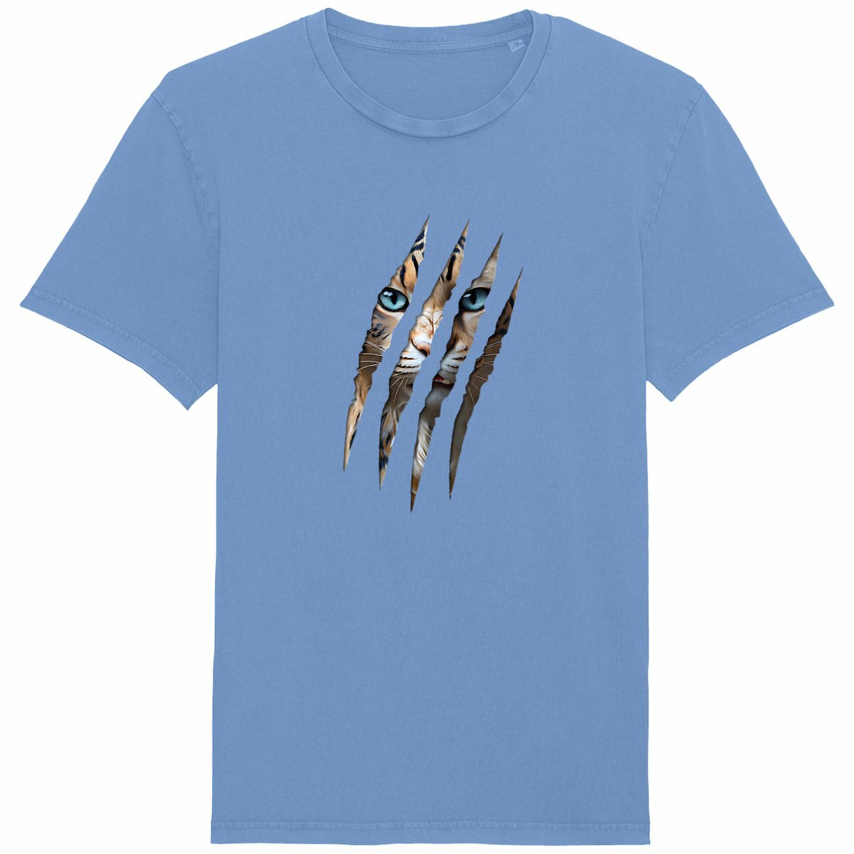 face_bleu