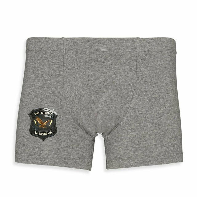 Image back ❀ Boxer Homme ~Premium+ ✦ THE STORM IS UPON US [🌐 EN] ✨