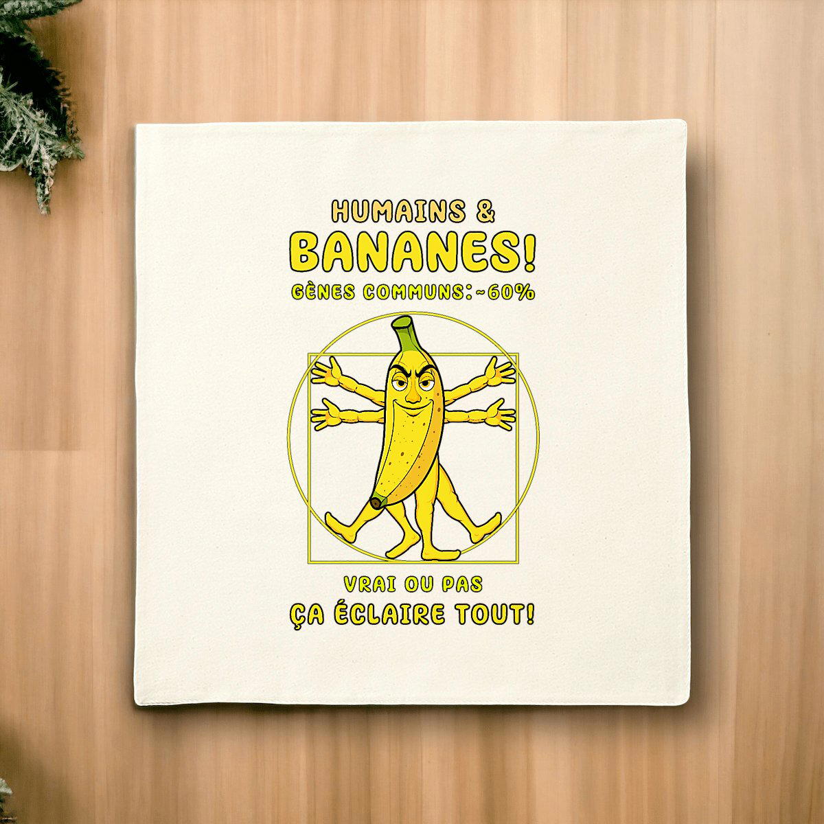 Image front ❀ Housse de coussin ~Premium+ ✦ LA BANANE DE VITRUVE [🌐 FR] ✨