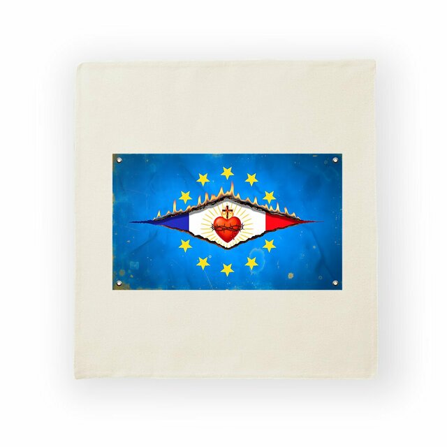 Image back ❀ Housse de coussin ~Premium+ ✧ DÉCHIRURE FRANCE/EUROPE [🌐 FR] ✨