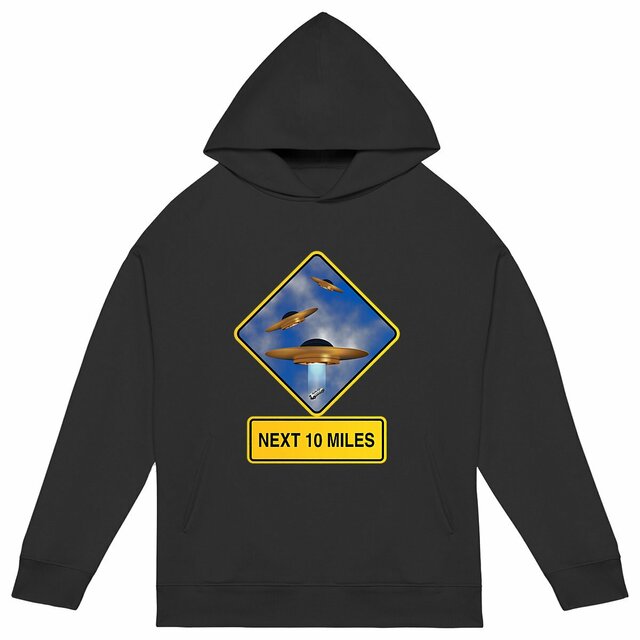 Image back ❀ Sweat-Shirt Standard à Capuche Unisexe Oversize ~Premium+ ✦ UFO ALERT [🌐 EN] ✨