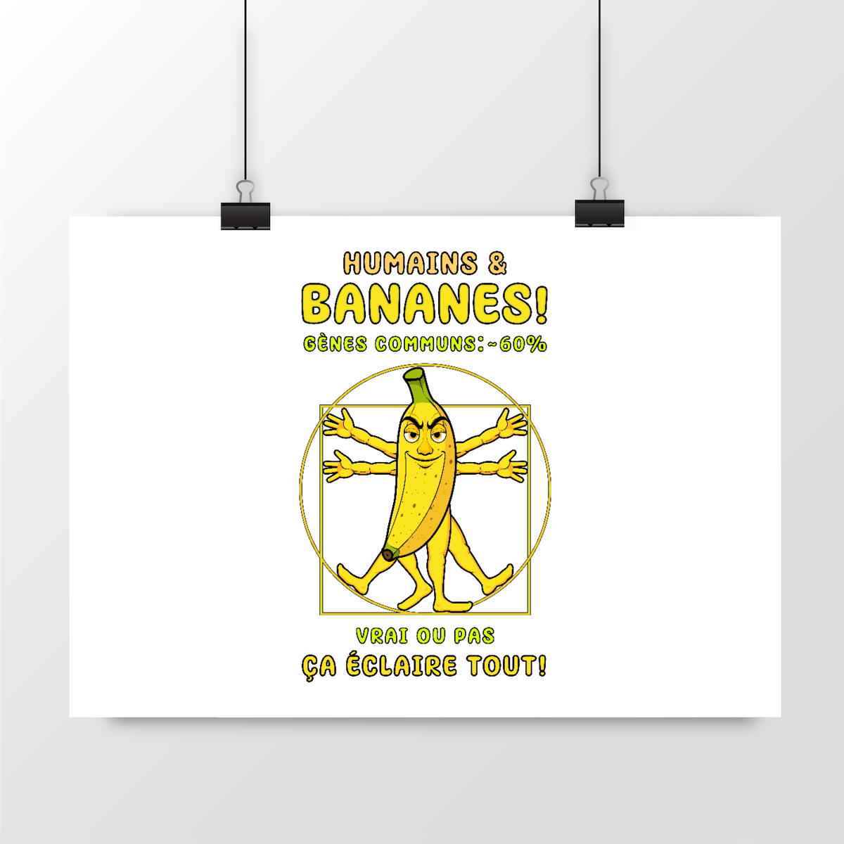 Image front ❀ Poster Horizontal ~Premium ✦ LA BANANE DE VITRUVE [🌐 FR] ✨