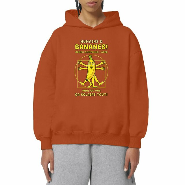 Image front ❀ Sweat-Shirt Standard à Capuche Unisexe Oversize ~Premium+ ✦ LA BANANE DE VITRUVE [🌐 FR]