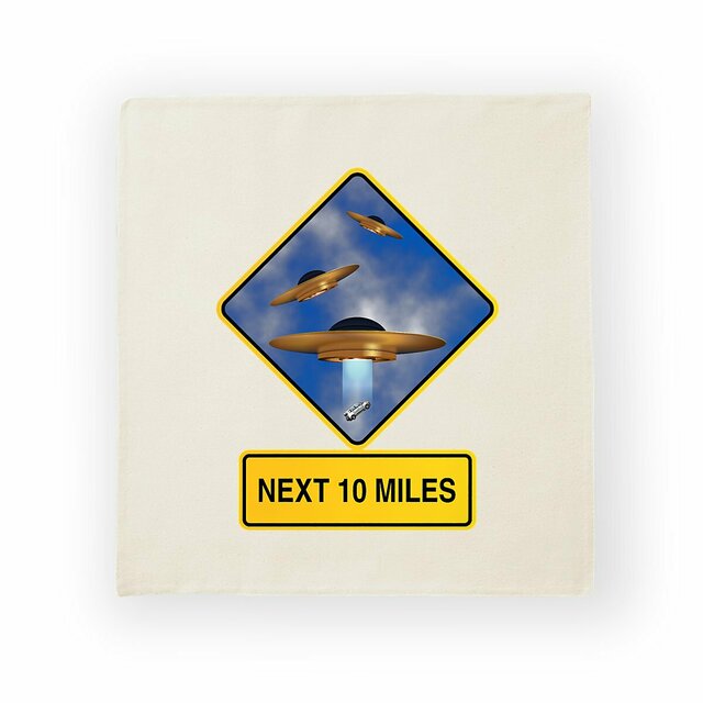 Image back ❀ Housse de coussin ~Premium+ ✦ UFO ALERT [🌐 EN] ✨