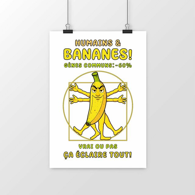 Image front ❀ Poster Vertical ~Premium ✦ LA BANANE DE VITRUVE [🌐 FR] ✨