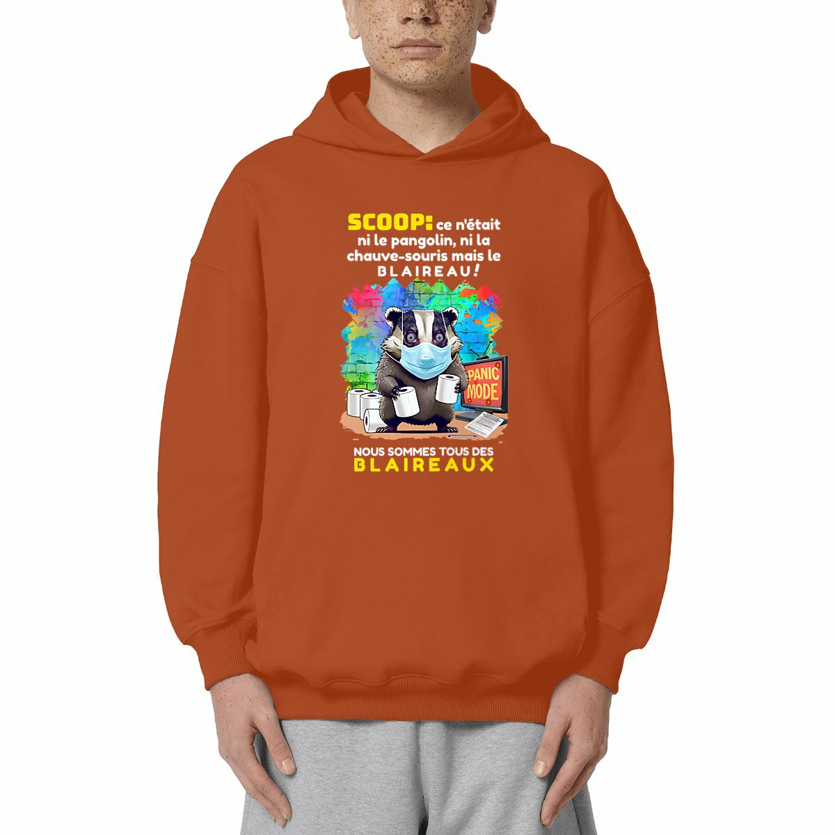 Image front ❀ Sweat-Shirt Standard à Capuche Unisexe Oversize ~Premium+ ✦ PANIC MODE [🌐 FR] ✨