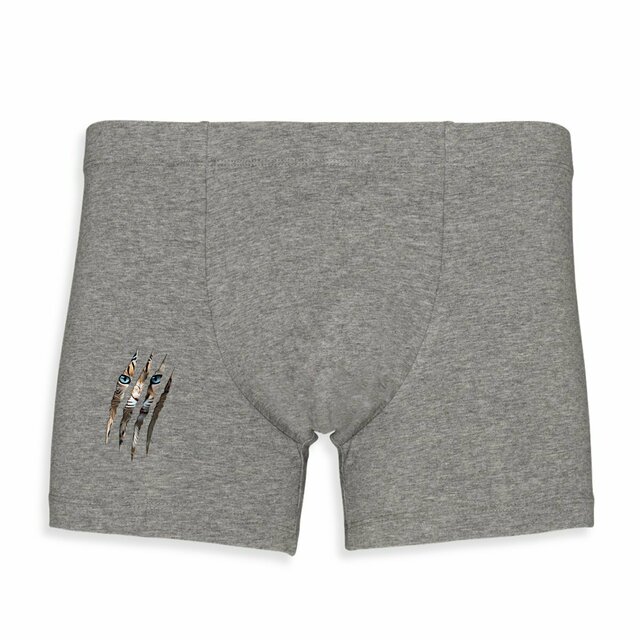 Image back ❀ Boxer Homme ✦ LA GRIFFE DU CHAT [🌐 INT] ✨